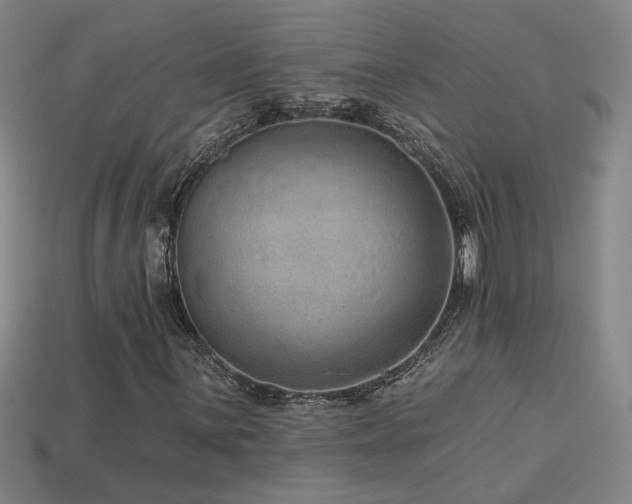 X0000114121059200910051506