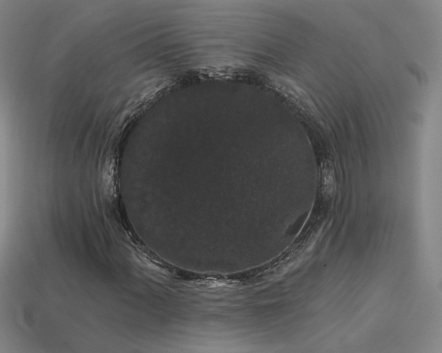 X0000114121060200910051506
