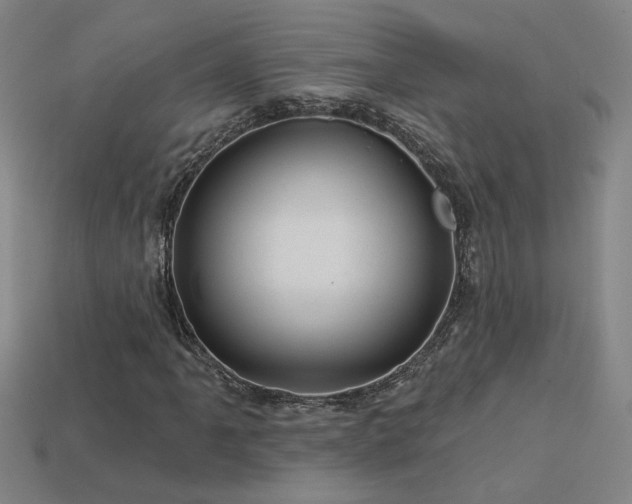 X0000114121061200910051506