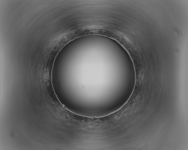 X0000114121062200910051506
