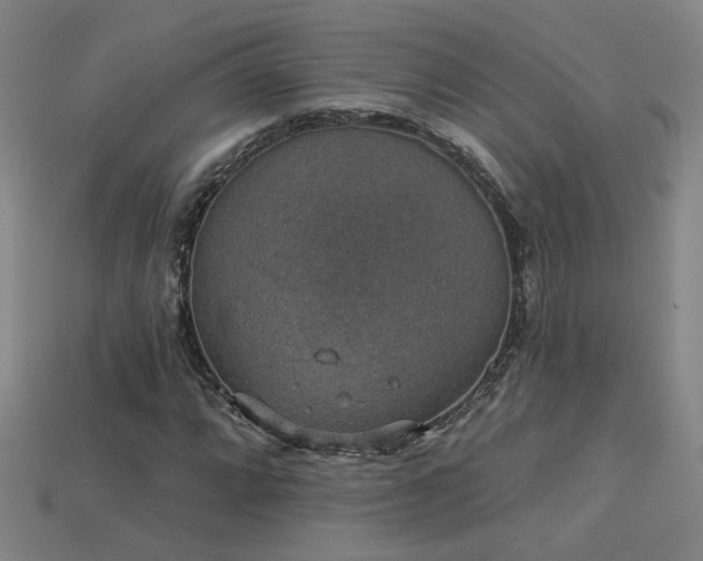 X0000114121064200910051506