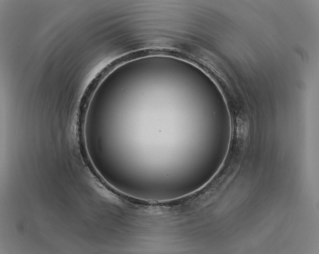 X0000114121068200910051506