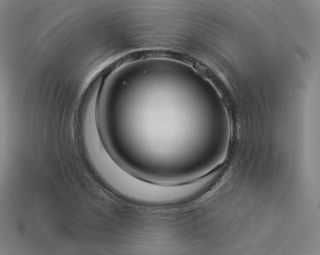 X0000114121069200910051506