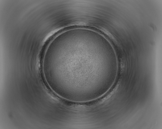 X0000114121070200910051506