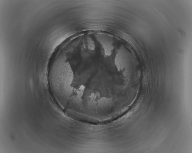 X0000114121071200910051506