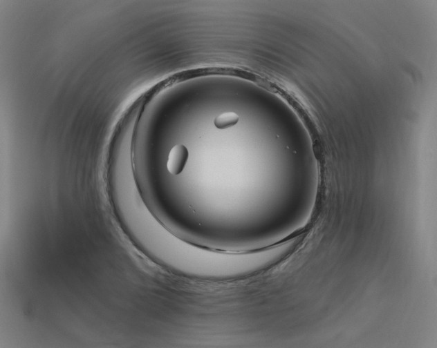 X0000114121072200910051506