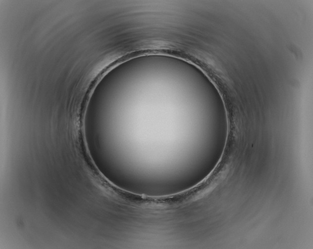X0000114121073200910051506