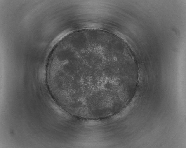 X0000114121074200910051506