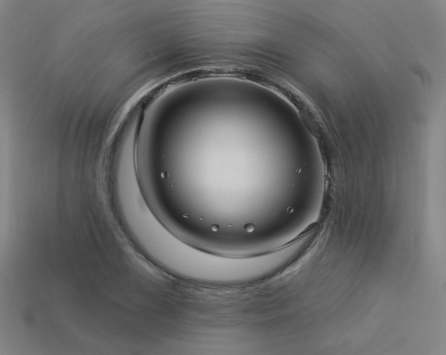X0000114121075200910051506