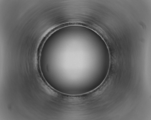 X0000114121076200910051506