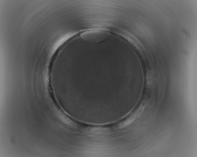 X0000114121077200910051506