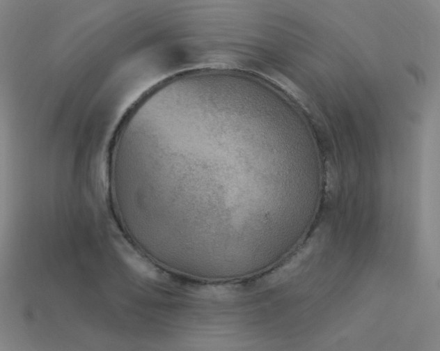 X0000114121078200910051506