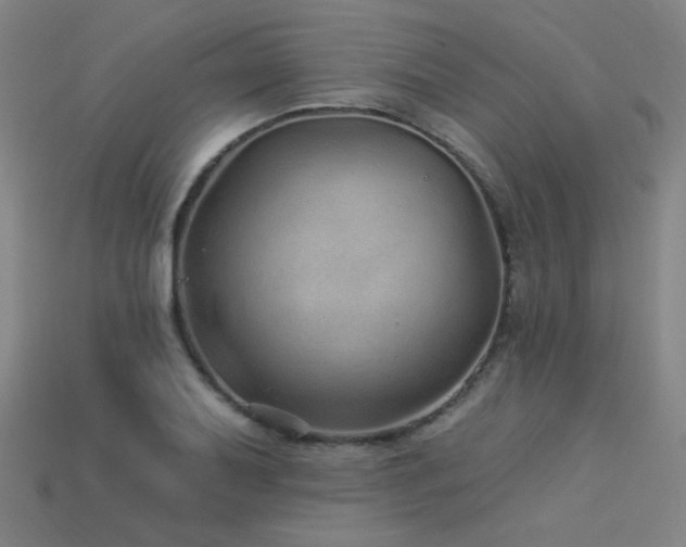 X0000114121079200910051506