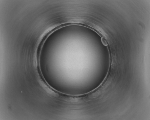 X0000114121080200910051506