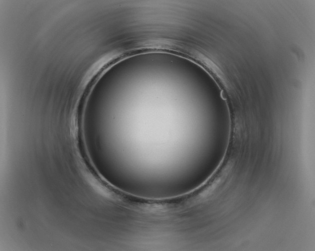 X0000114121082200910051506