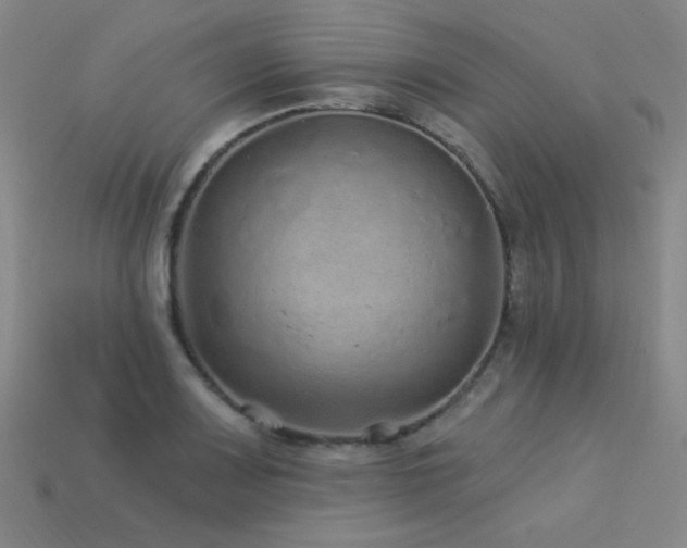X0000114121083200910051506