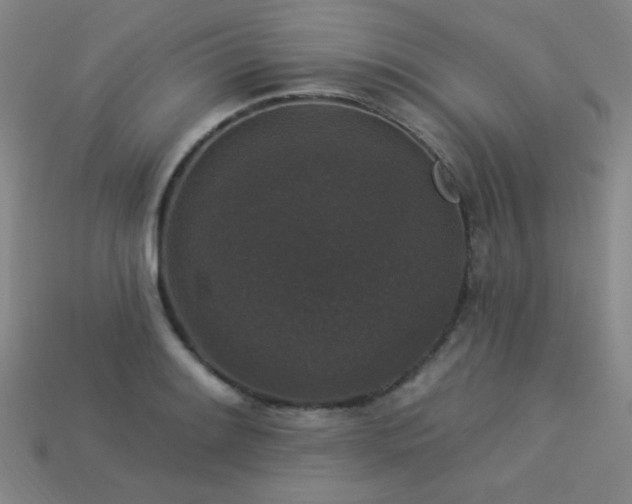 X0000114121084200910051506