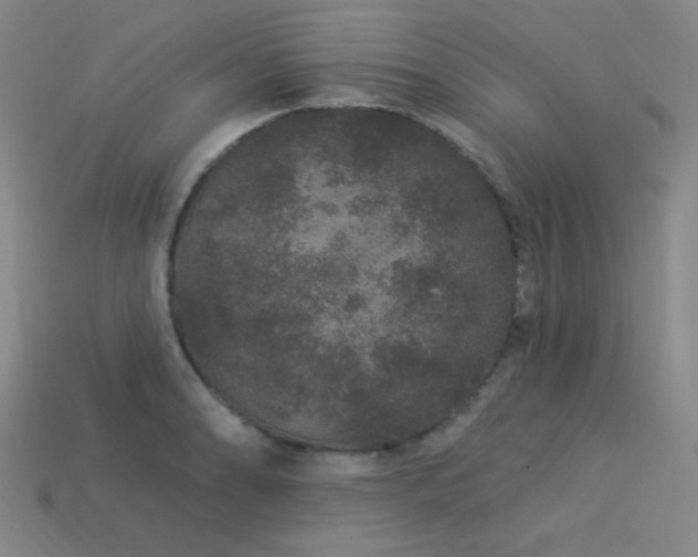 X0000114121086200910051506
