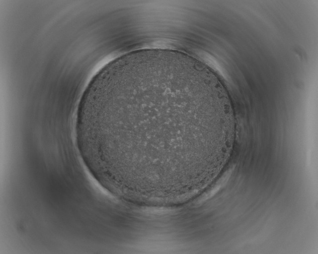 X0000114121087200910051506