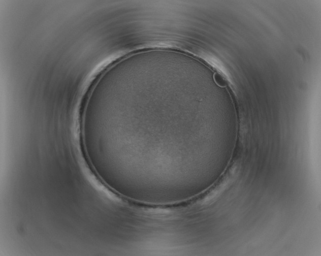 X0000114121088200910051506
