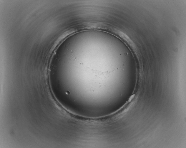 X0000114121089200910051506
