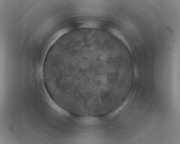X0000114121090200910051506