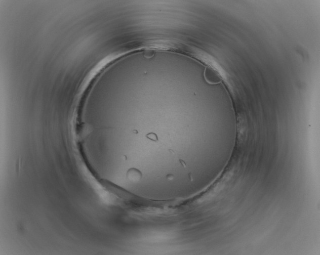 X0000114121091200910051506