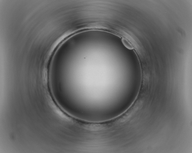 X0000114121092200910051506
