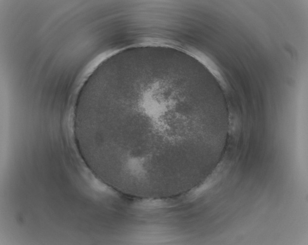 X0000114121094200910051506