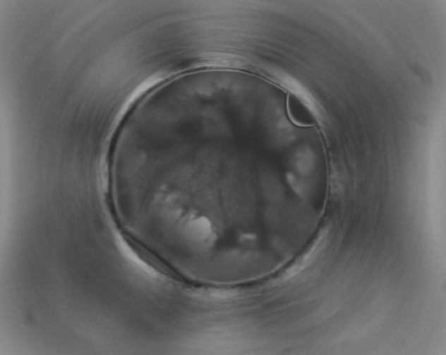 X0000114121095200910051506