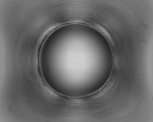 X0000114121096200910051506