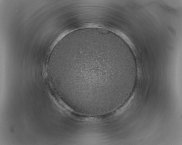 X0000114121097200910051506