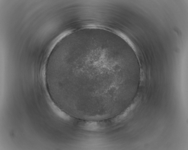 X0000114121098200910051506