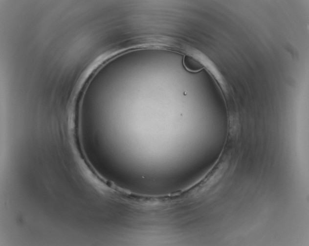 X0000114121099200910051506