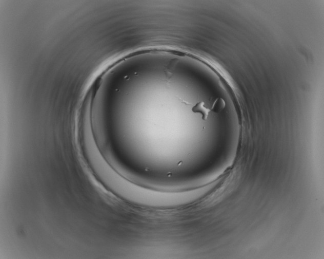 X0000114121101200910051506