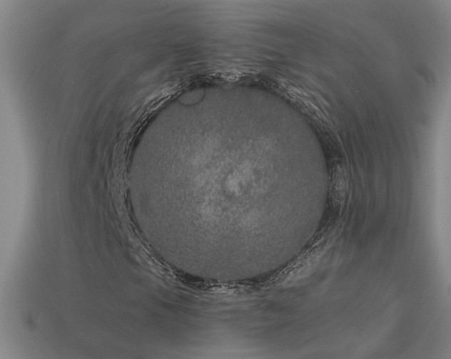 X0000114121105200910051505