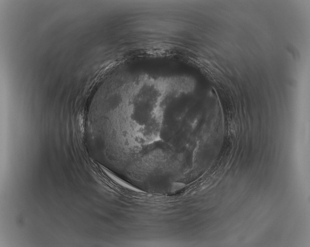 X0000114121106200910051505