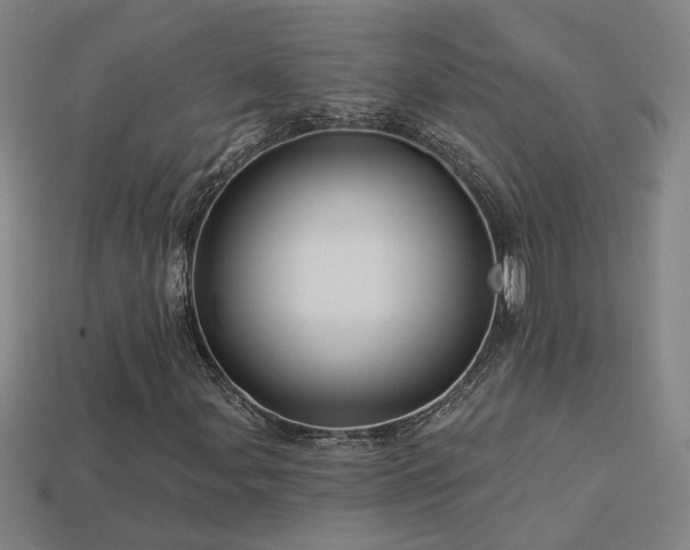 X0000114121107200910051505