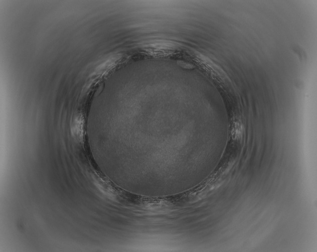 X0000114121108200910051505