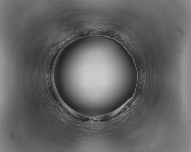 X0000114121109200910051505
