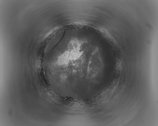 X0000114121110200910051505
