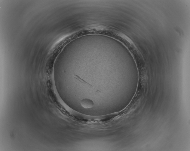 X0000114121112200910051505