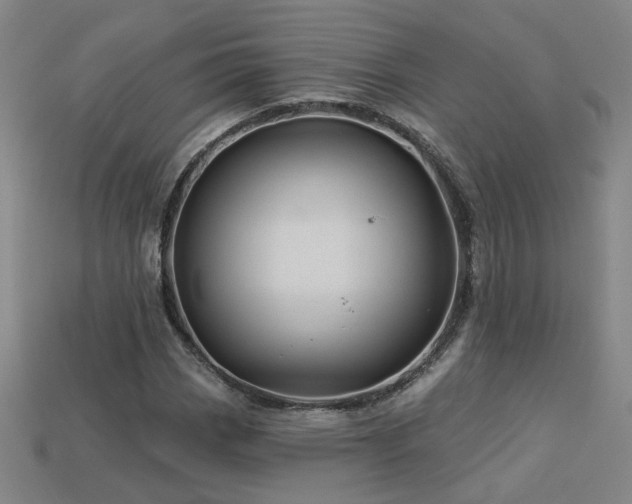 X0000114121113200910051505