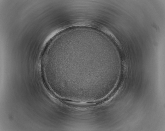 X0000114121114200910051505