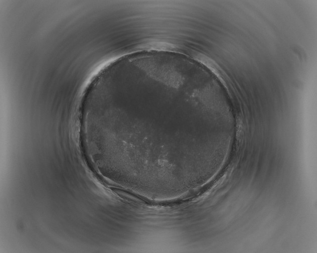 X0000114121115200910051505