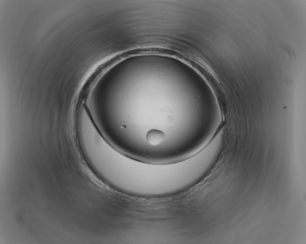 X0000114121116200910051505