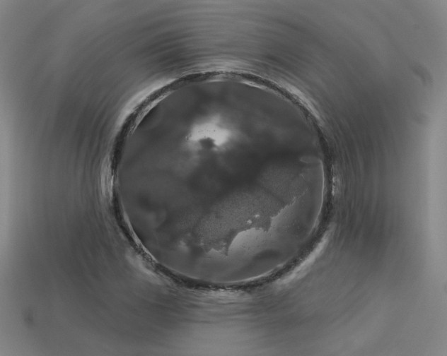 X0000114121117200910051505