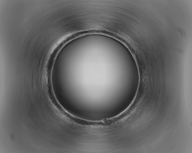 X0000114121118200910051505