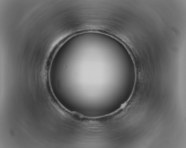 X0000114121119200910051505