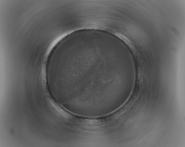 X0000114121120200910051505